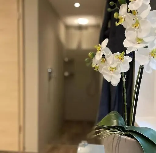 Apartman Moderne In Waldrandlage Mit Einem Hauch Von Luxus Burgthann