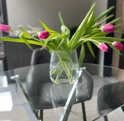 Moderne In Waldrandlage Mit Einem Hauch Von Luxus Apartman Burgthann